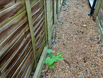 surrey casestudy JKE