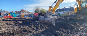 excavation of japanese knotweed