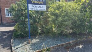 Getting a Mortgage with Japanese Knotweed