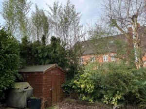 Bamboo Removal in Nantwich