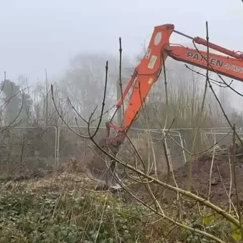 An excavation site with Japanese Knotweed removal