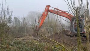 Japanese Knotweed on Construction Sites