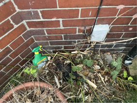 Newcastle upon Tyne Case Study