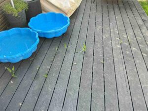 bamboo removal in cheadle