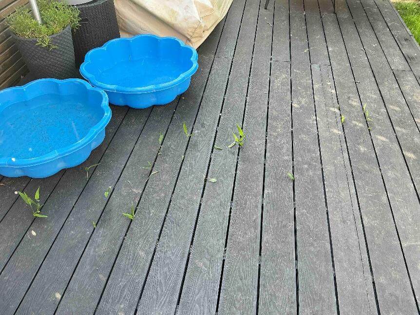 bamboo removal in cheadle