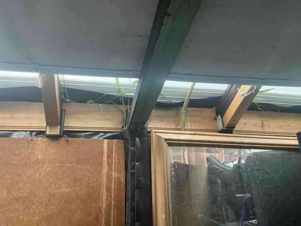 Bamboo Removal in Southampton