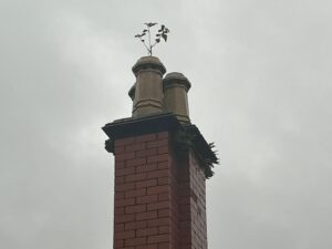 Damage caused by plants