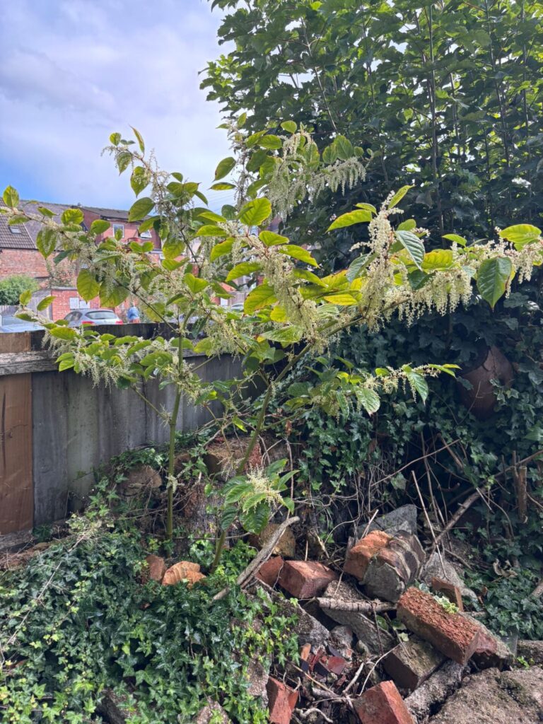 Expert Witness Report in Manchester