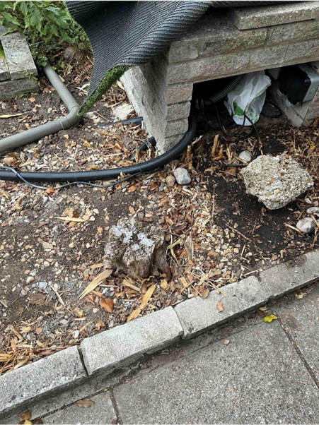 Hampshire case study