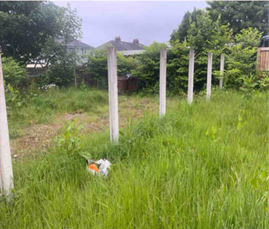 cASE STUDY PHOTO - LANC