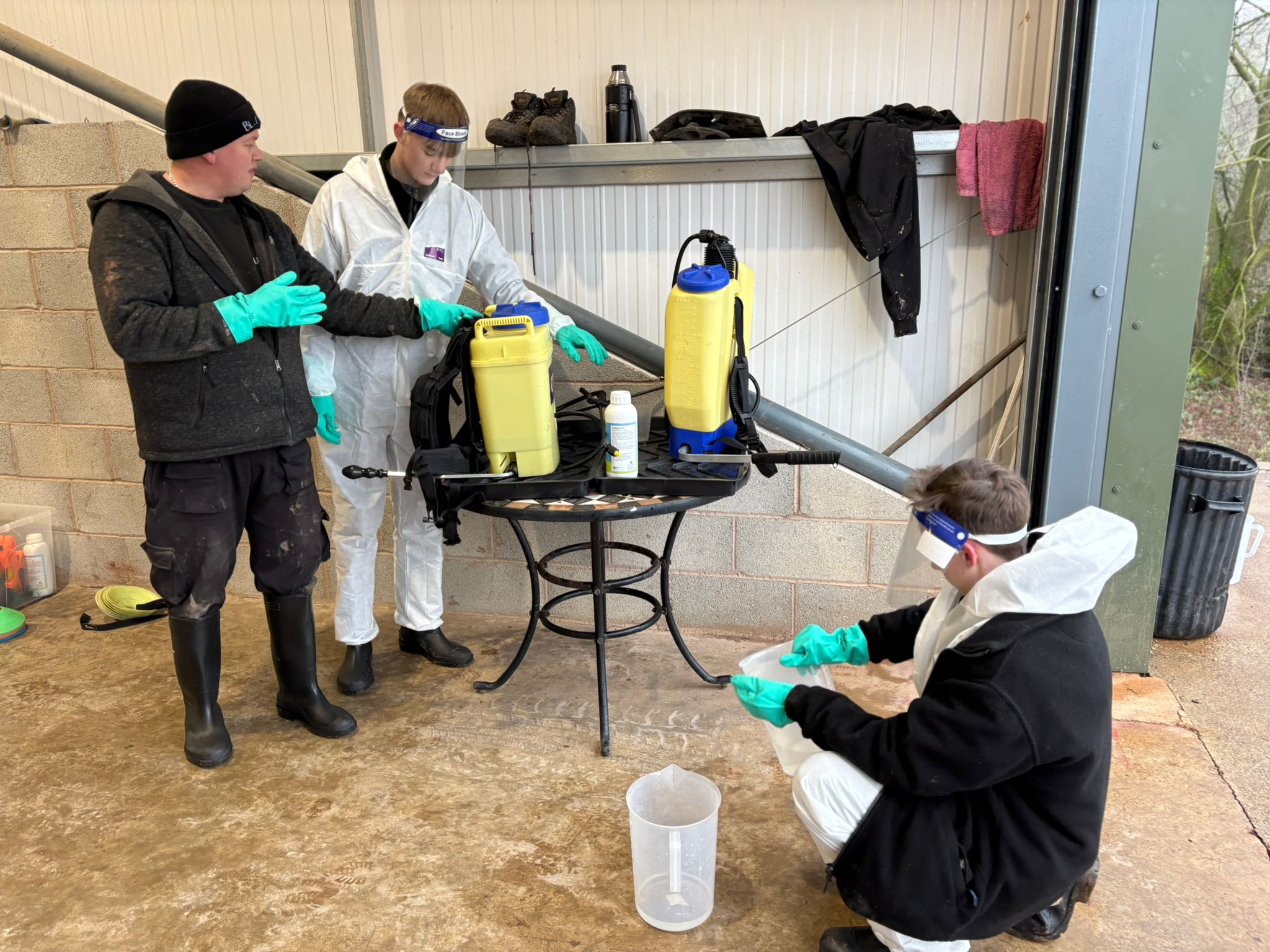Japanese knotweed CPD course